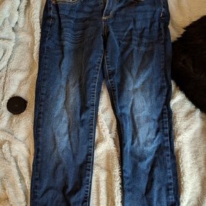 demin capris ~ arizona jean co. ~ 5